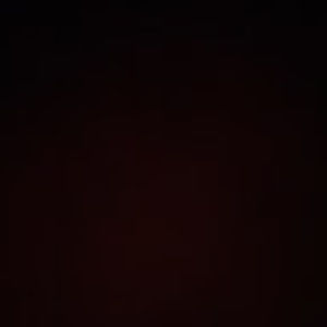 Meet your Posher, Bailey